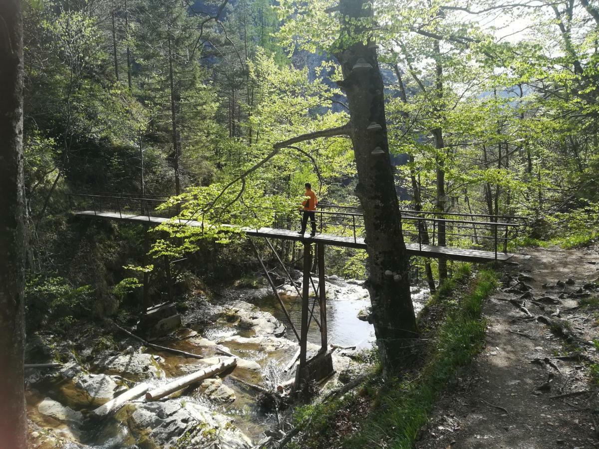 Berghof Hotel Gaming Buitenkant foto